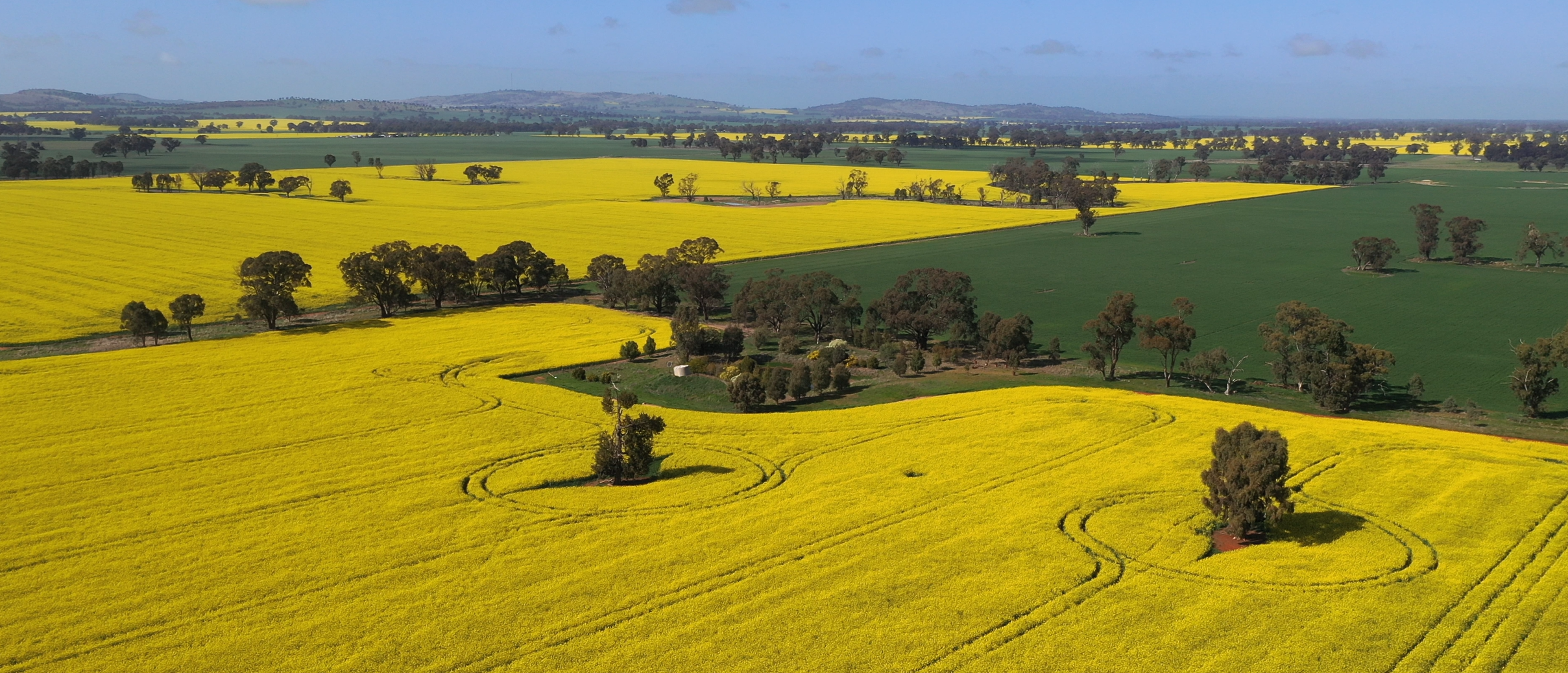 Catchment Strategies